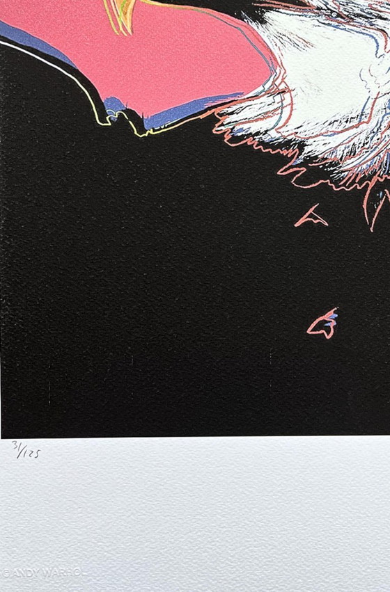 Naar Andy Warhol, Amerikaanse zeearend, jaren 1980, lithografie – Litho's & Zeefdrukken, Paper (photo 3 of 7)