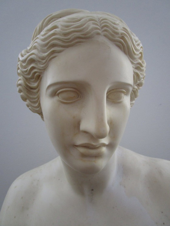 Image 1 of Busto antiguo, ¿Afrodita?