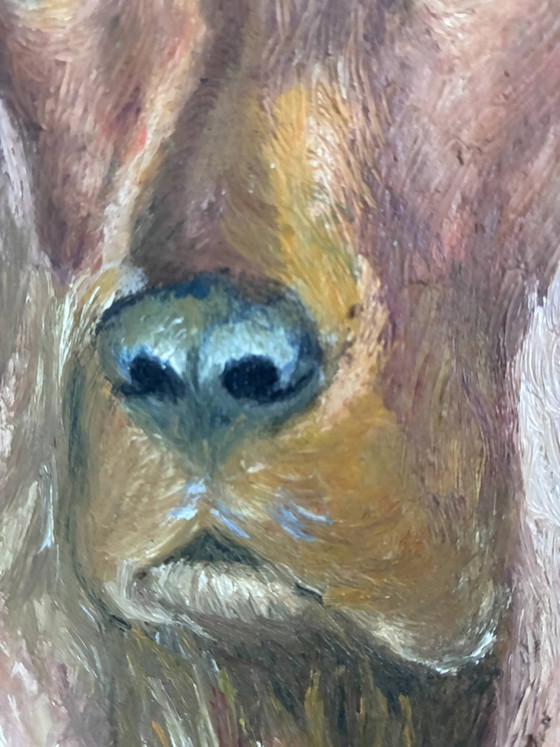 Vintage original dog portrait oil painting, signed animal art – Paintings & Drawings, Wood, Canvas (photo 14 of 19)
