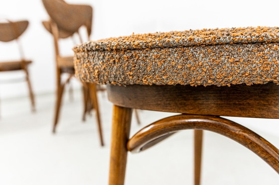 Image 1 of Satz von 6 Esszimmerstühlen Nr. 124 von H&J Kurmanowicz, Polen, 1950er Jahre