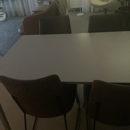 Eetkamerstoelen 4 stuks New Bree’s World