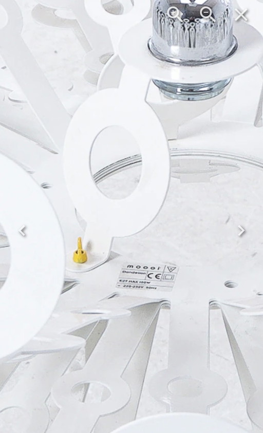 Moooi Löwenzahn 80 cm Richard Hutten