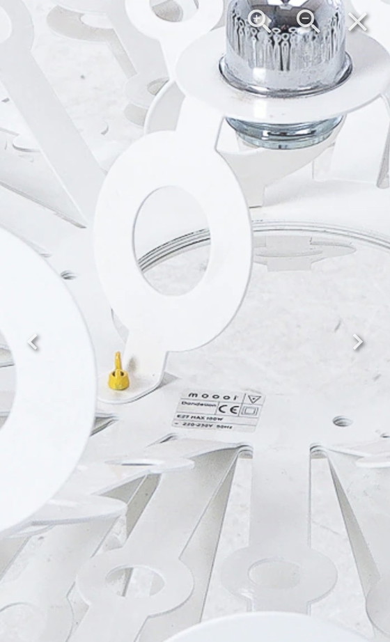 Image 1 of Pissenlit Moooi 80 cm Richard Hutten