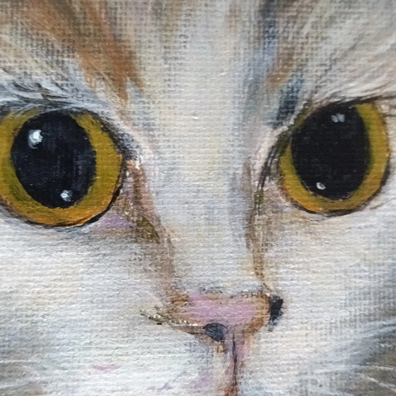 Image 1 of Dipinto di gatto sdraiato