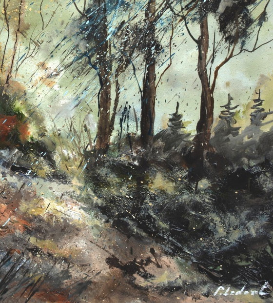 Image 1 of Winter light in the wood