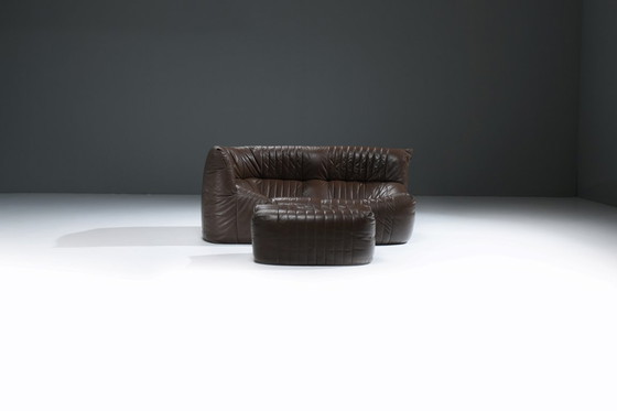 Image 1 of Zeldzame bruine leren Aralia loungebank van Michel Ducaroy voor Ligne Roset Frankrijk