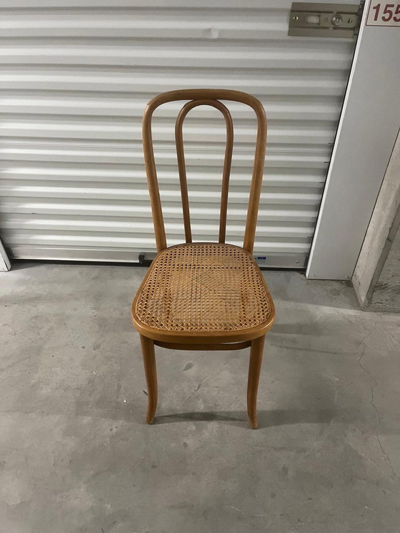 Image 1 of 6 original rattan Thonet chairs in good condition