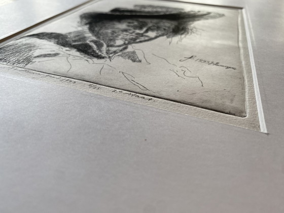 Image 1 of Acquaforte Jan van Heiningen, edizione incorniciata di 30 esemplari