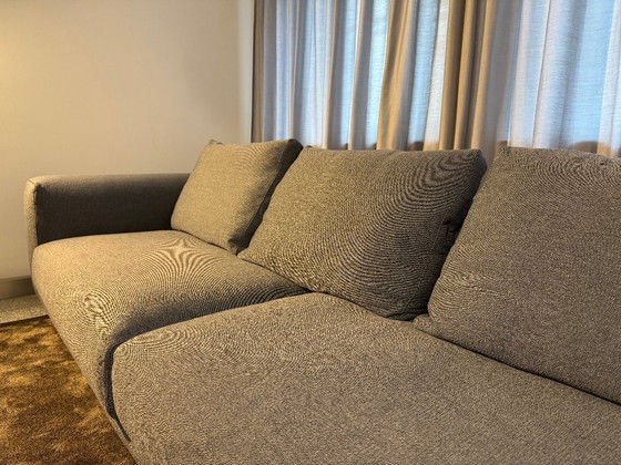 Image 1 of COR sofa Moss