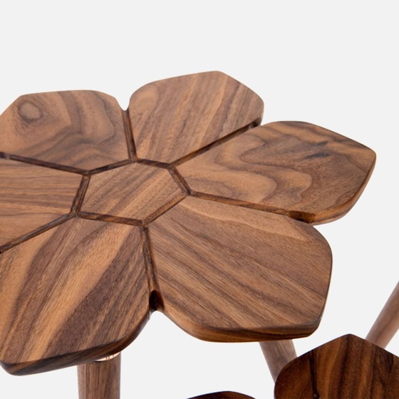 Image 1 of Vogel Design - Tavolino Cape Spring