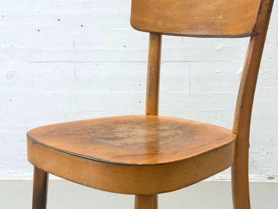Image 1 of Set van 6 gebogen houten stoelen, gemaakt van massief hout, Thonet ZPM Radomsko, Polen, jaren 1950.