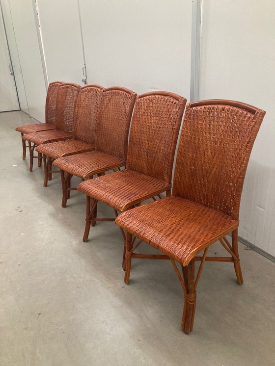 Image 1 of Sedie da pranzo vintage in rattan tropicale boho