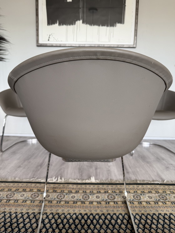 Image 1 of 4x Chaise Arper Duna Design by Lievore Altherr Molina, ca2014