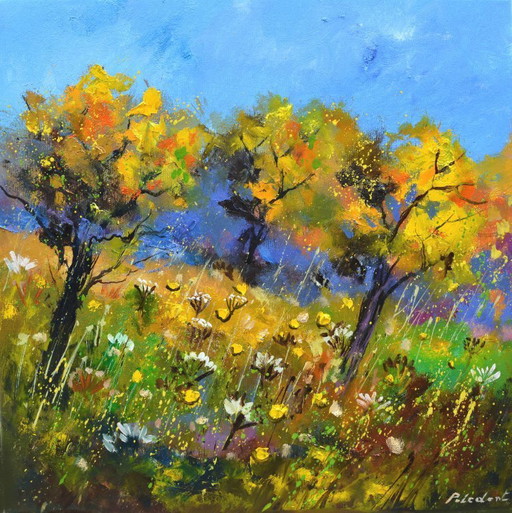 Trees in summer