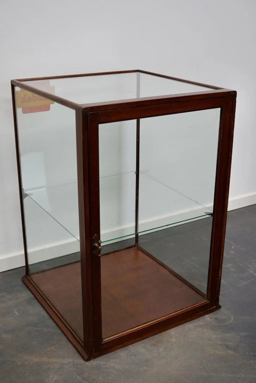 Vetrina vittoriana in mogano per museo/negozio, fine XIX secolo