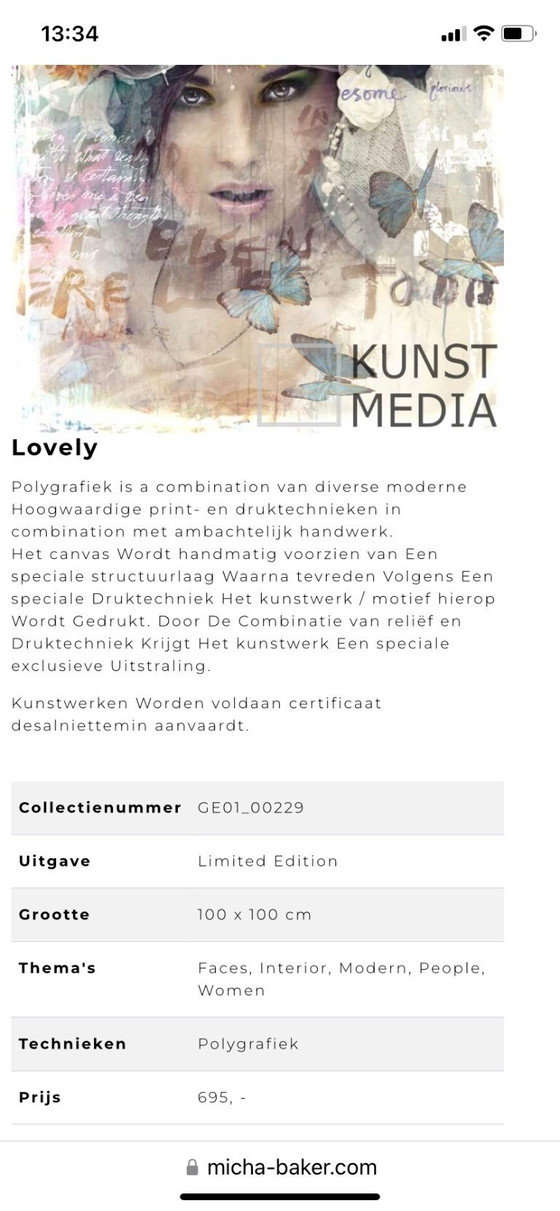 Image 1 of Oeuvre d'art de Mischa Baker