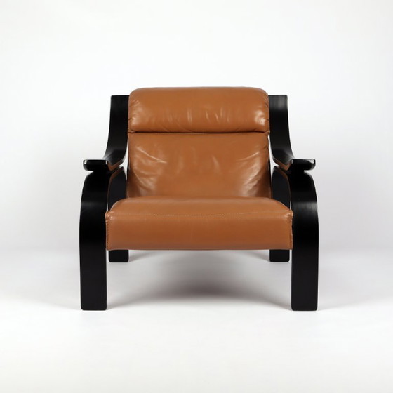 Image 1 of Sillón Arflex Marco Zanuso