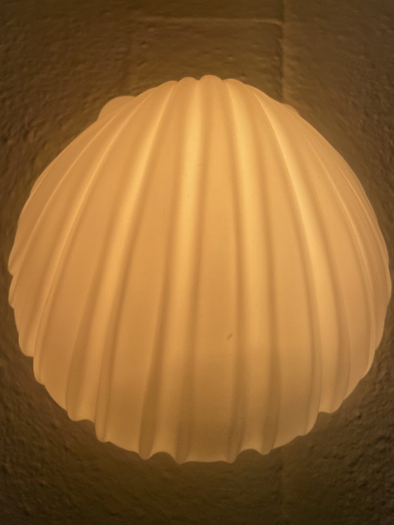 Image 1 of Glashütte Limburg Shell Wall Lights 2x