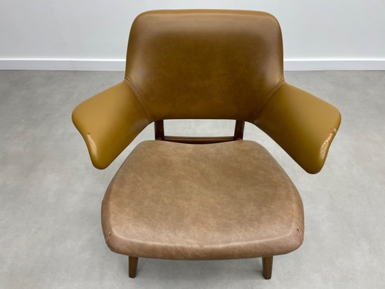 Image 1 of Louis van Teeffelen für das Wébé Penguin Restoration Project