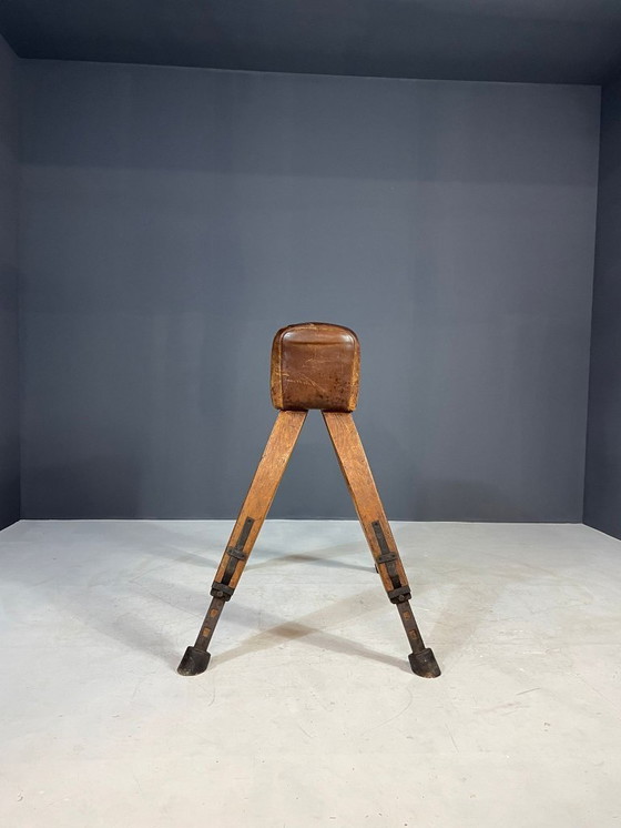 Image 1 of Gymnastik-Voltigierpferd, Tschechoslowakei, 1960er Jahre