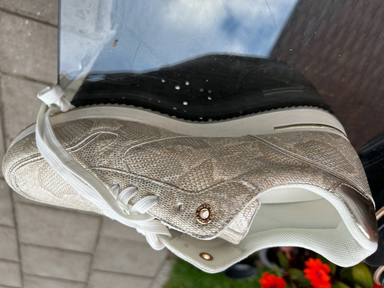 Mexx Schuhe. – Dekorative Objekte, Kunststoff (photo 4 of 8)