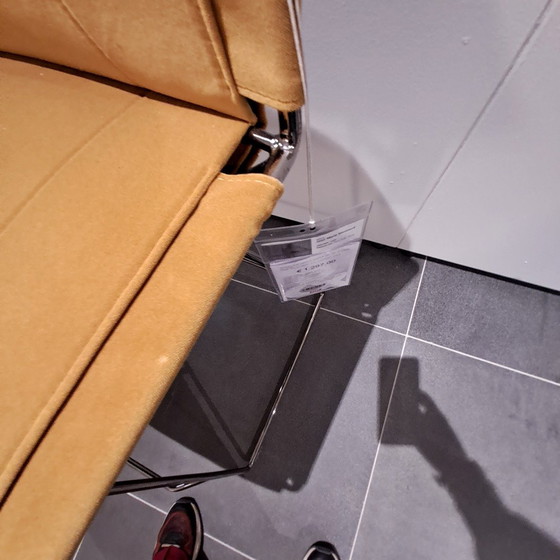 Image 1 of MDF Italia Neil barkruk