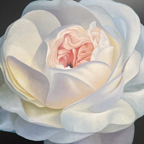 Image 1 of Franco Campana: "White Rose". Beautiful colors!