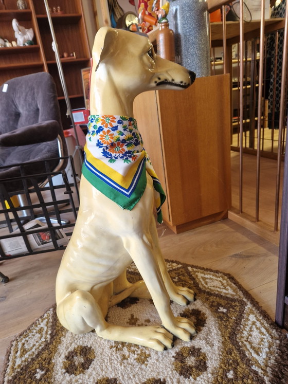 Image 1 of Bassano Greyhound