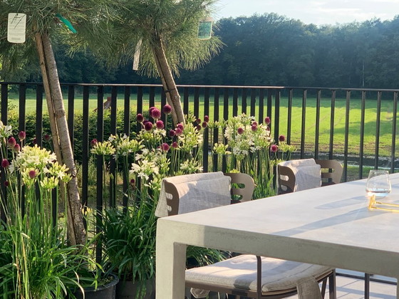 Image 1 of 2 X poltrona Giorgetti GEA €1.200/pezzo invece di €2.400/pezzo condizioni nuove