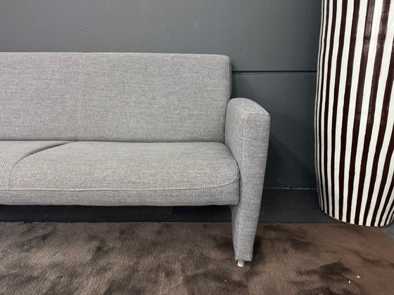 Neat Montel 2.5-seater sofa | Montel sofa, 3-5 seaters, Cotton, Grey (photo 5 of 8)