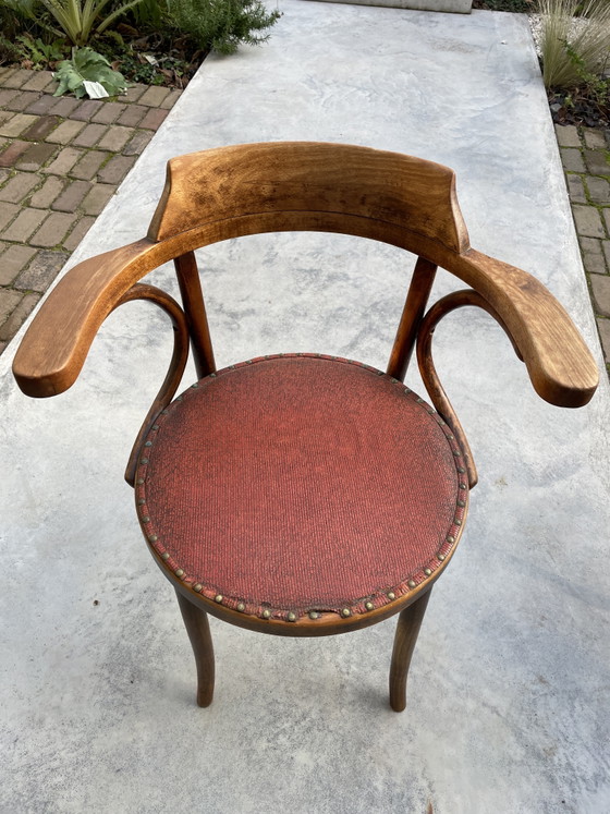 Silla de diseño de la industria polaca de muebles de madera curvada estilo Thonet – Sillas de comedor, Wood (photo 2 of 12)