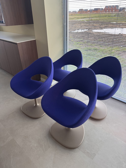 4x poltrona Artifort Shark