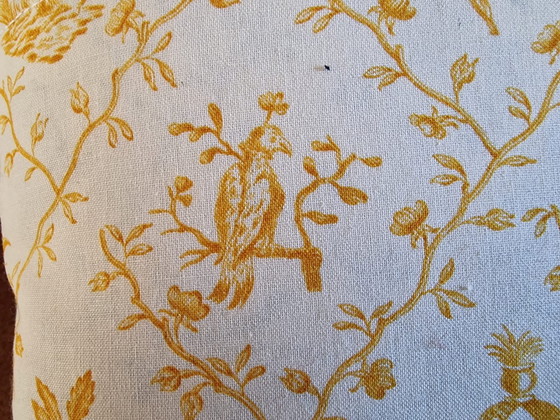 Image 1 of 2 Throwing pillows Toile de Jouy