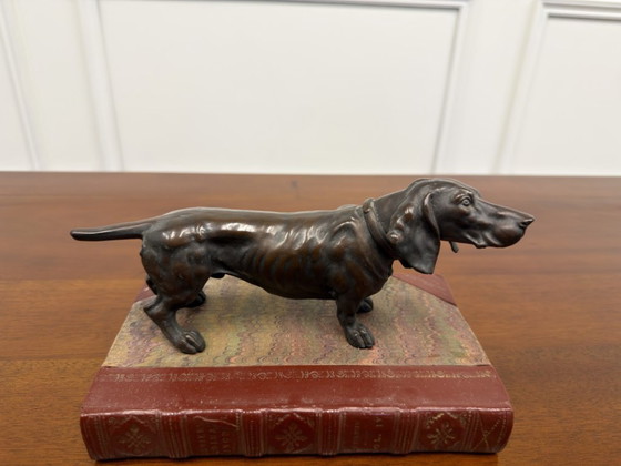 Scultura antica Bloodhound – Sculture, Bronzo, Pelle (photo 4 of 8)