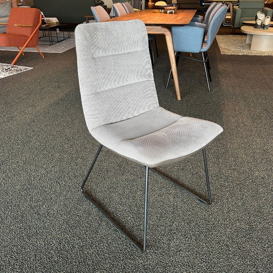Image 1 of 4 x KFF - Arva Light - Dakota-Leder