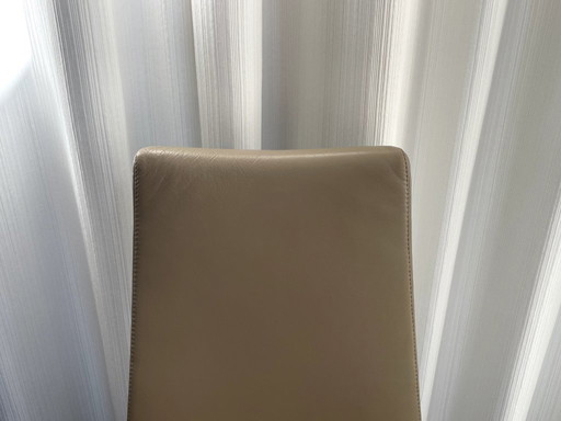 6 pieces Rolf Benz dining chairs model 7800