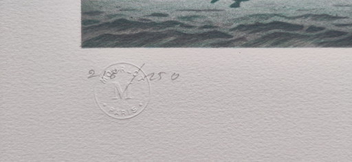 Gelimiteerde lithografie Vrijheidsbeeld van Michel Dubrel