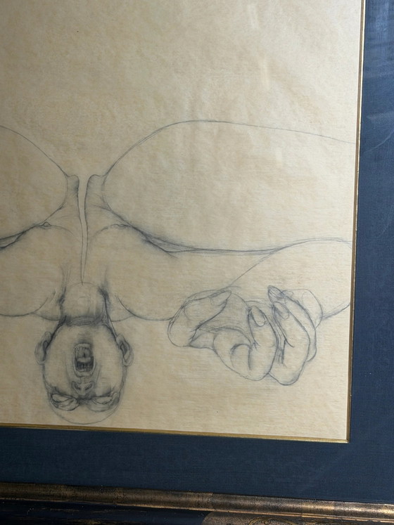 René Knapen – Disegno surrealista a grafite con certificato di galleria – Dipinti e disegni, Vetro (photo 4 of 10)