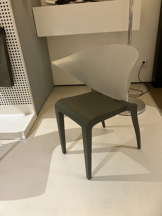 Image 1 of Stoel Boom Rang van Driade