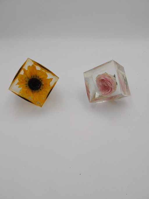 Due composizioni floreali in blocchi di resina epossidica. Rosa e girasole, 10 x 10 x 10 cm.