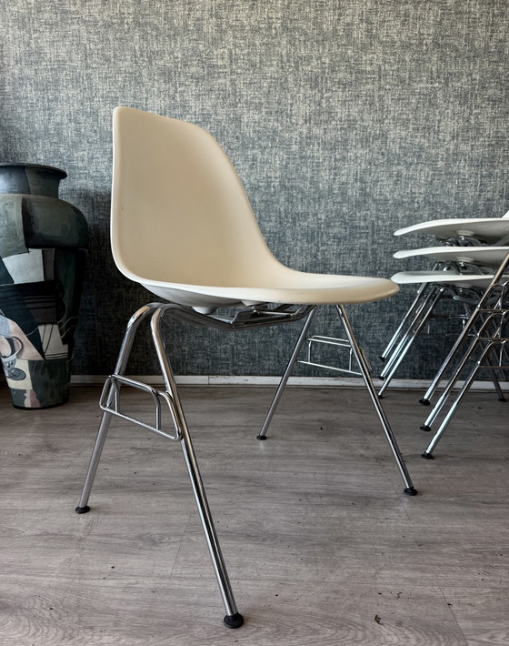 Image 1 of 8 sedie laterali in plastica Vitra Eames RE DSS – Charles & Ray Eames