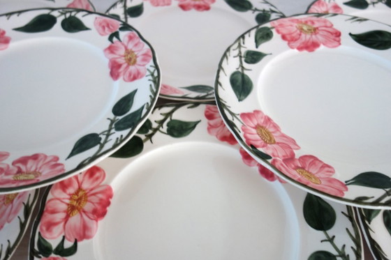 6 Villeroy & Boch „Wild Rose“ Speiseteller, 1970 – Geschirr, Porcelain (photo 3 of 9)