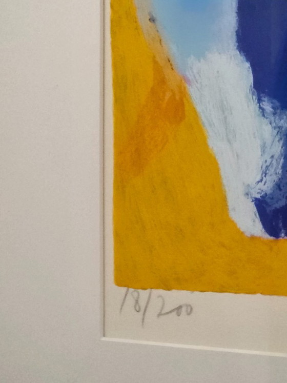 Image 1 of Jan Cremer - Tulips IV - Hand-signed - 1999 - 18/200