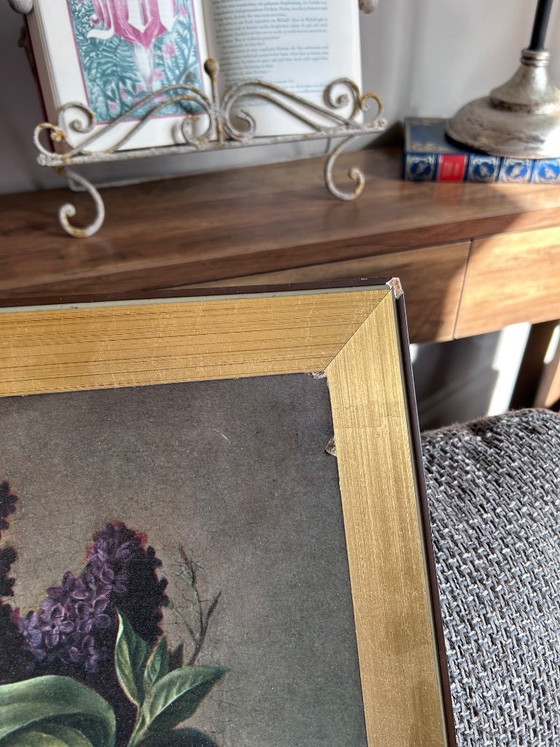 Image 1 of Moïse Jacobber - floral still life 