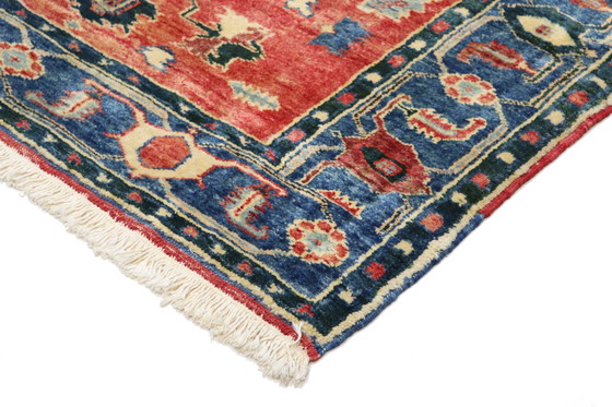 Image 1 of Originele handgeknoopte oude Kaukasische Azerbeidzjaanse kelim - 161 cm - 138 cm - Zeer Fijn