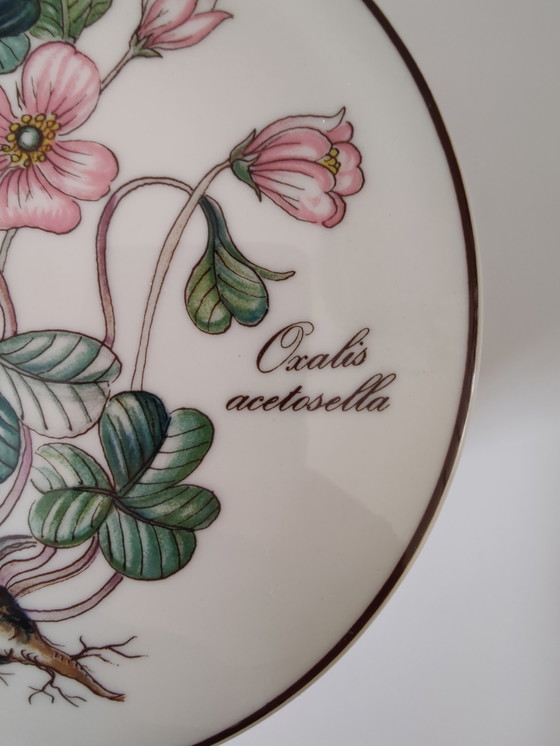 Image 1 of Caja de porcelana con tapa Villeroy & Boch Luxembourg Botanica