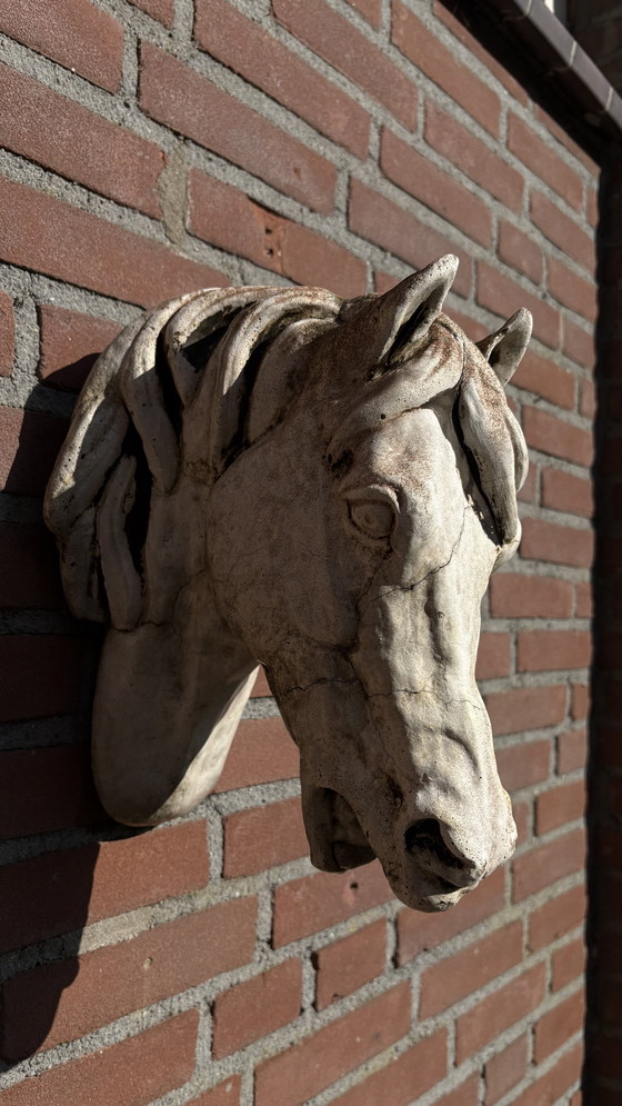 Image 1 of Testa di cavallo in pietra fusa - Unica