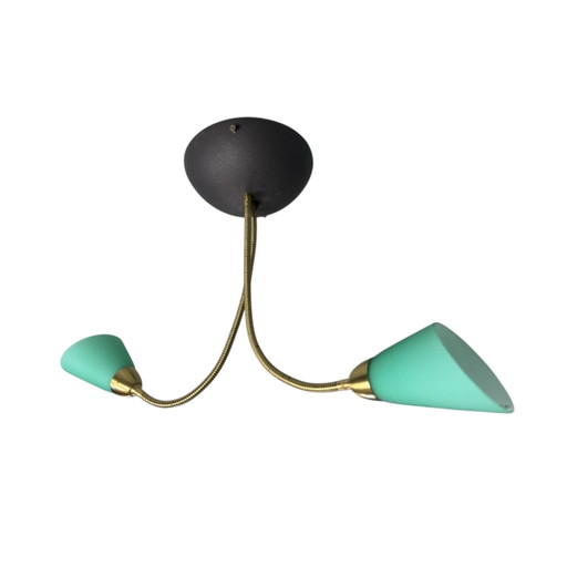 Lámpara de techo de cuello de cisne vintage Herda Holland 