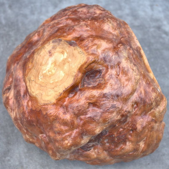 Image 1 of Authentische skandinavische Schale Sami Schweden