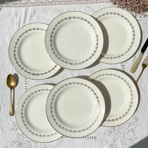 6 Platos DIGOIN SUZY de Porcelana Opaca